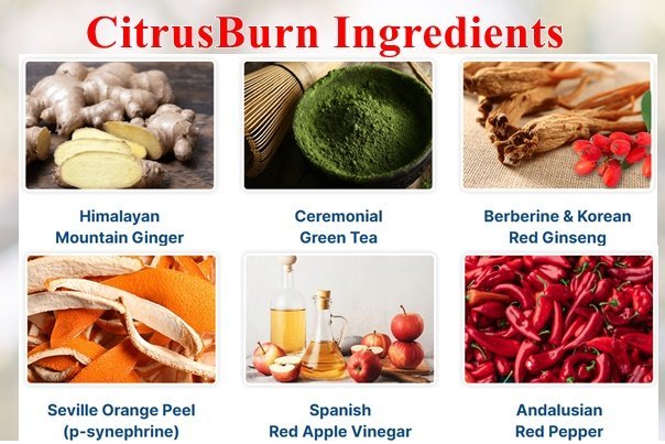 Citrusburn Ingredients