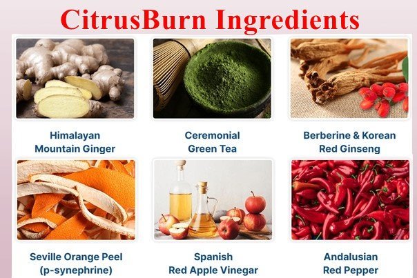 Citrusburn Ingredients
